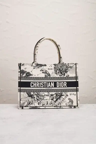 dior Dior Toile De Jouy Zodiac Book Tote Bag | Thumbnail 2 dior Dior Toile De Jouy Zodiac Book Tote Bag | Thumbnail 2