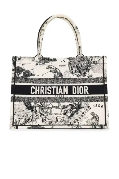 dior Dior Toile De Jouy Zodiac Book Tote Bag | Thumbnail 1 dior Dior Toile De Jouy Zodiac Book Tote Bag | Thumbnail 1