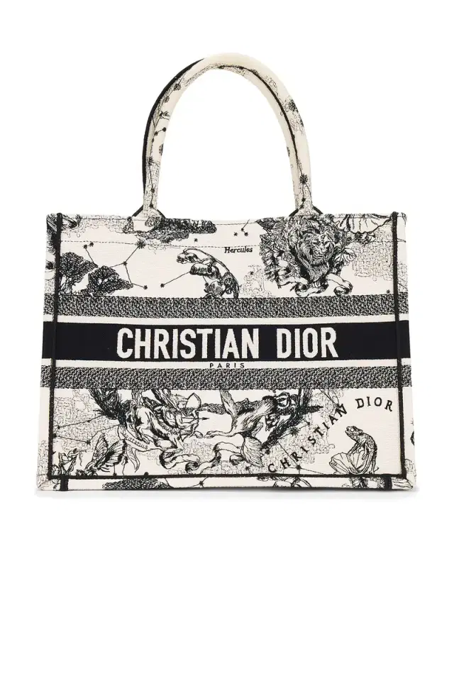 Dior Toile De Jouy Zodiac Book Tote Bag Dior Toile De Jouy Zodiac Book Tote Bag