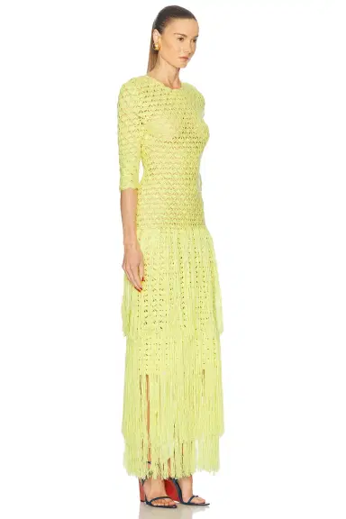 Alejandra Alonso Rojas Crochet Dress With Fringe | Thumbnail 2 Alejandra Alonso Rojas Crochet Dress With Fringe | Thumbnail 2