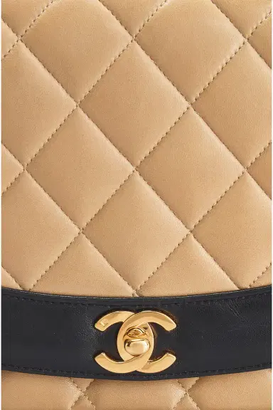 Chanel Chanel Lambskin Diana Flap Bag | Thumbnail 6 Chanel Chanel Lambskin Diana Flap Bag | Thumbnail 6