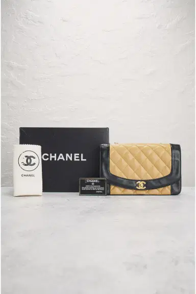 Chanel Chanel Lambskin Diana Flap Bag | Thumbnail 10 Chanel Chanel Lambskin Diana Flap Bag | Thumbnail 10