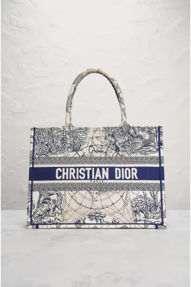 Dior Around The World Book Tote Bag | Thumbnail 4 Dior Around The World Book Tote Bag | Thumbnail 4
