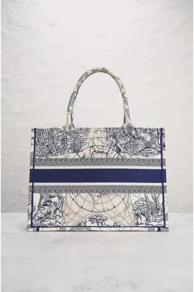 Dior Around The World Book Tote Bag | Thumbnail 5 Dior Around The World Book Tote Bag | Thumbnail 5