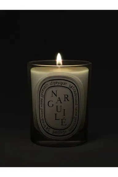 Diptyque Narguile Classic Candle | Thumbnail 3 Diptyque Narguile Classic Candle | Thumbnail 3
