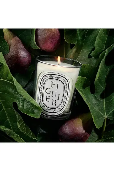 Diptyque Figuier Classic Candle | Thumbnail 2 Diptyque Figuier Classic Candle | Thumbnail 2