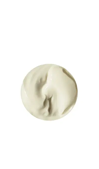 RéVive Fermitif Neck Renewal Cream Broad Spectrum SPF 15 Sunscreen | Thumbnail 2 RéVive Fermitif Neck Renewal Cream Broad Spectrum SPF 15 Sunscreen | Thumbnail 2