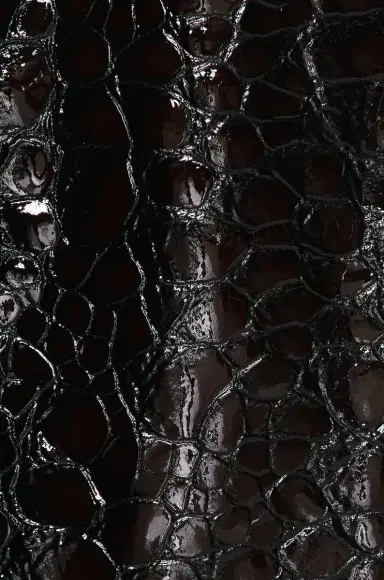 Bottega Veneta Croc Embossed Coat | Thumbnail 4 Bottega Veneta Croc Embossed Coat | Thumbnail 4