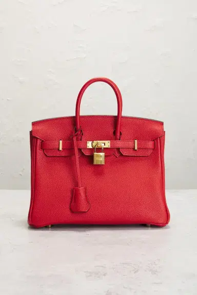 HERMÈS Togo Birkin 25 Handbag | Thumbnail 4 HERMÈS Togo Birkin 25 Handbag | Thumbnail 4