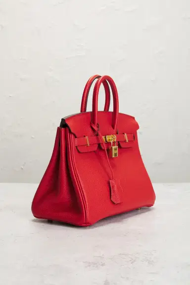 HERMÈS Togo Birkin 25 Handbag | Thumbnail 6 HERMÈS Togo Birkin 25 Handbag | Thumbnail 6
