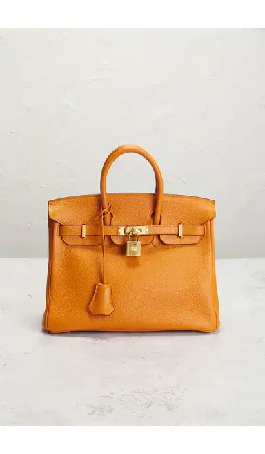 HERMÈS Togo Birkin 25 Handbag | Thumbnail 2 HERMÈS Togo Birkin 25 Handbag | Thumbnail 2