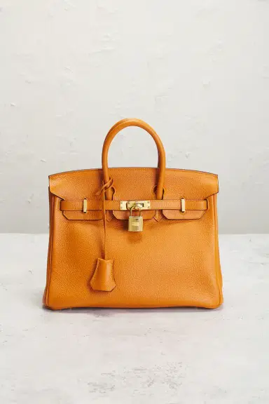 HERMÈS Togo Birkin 25 Handbag | Thumbnail 4 HERMÈS Togo Birkin 25 Handbag | Thumbnail 4