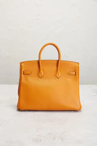 HERMÈS Togo Birkin 25 Handbag | Thumbnail 5 HERMÈS Togo Birkin 25 Handbag | Thumbnail 5
