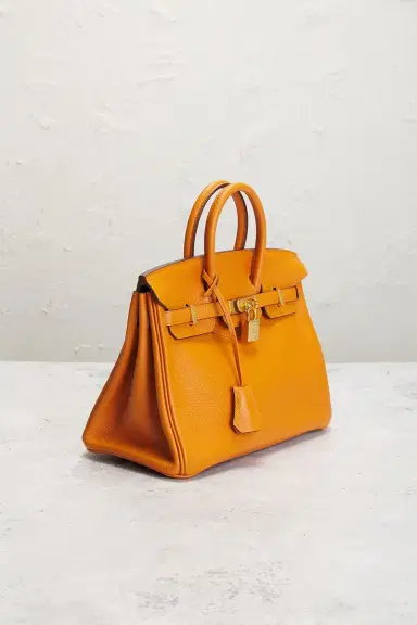 HERMÈS Togo Birkin 25 Handbag | Thumbnail 6 HERMÈS Togo Birkin 25 Handbag | Thumbnail 6