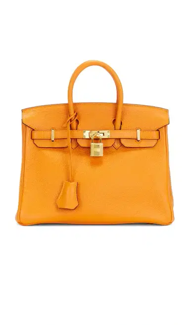 HERMÈS Togo Birkin 25 Handbag | Thumbnail 1 HERMÈS Togo Birkin 25 Handbag | Thumbnail 1