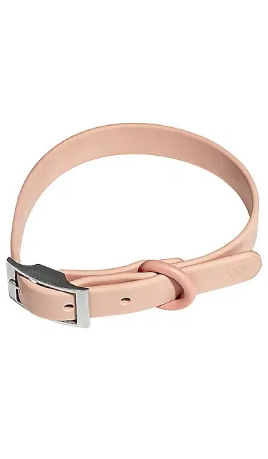 Wild One Collar | Thumbnail 1 Wild One Collar | Thumbnail 1