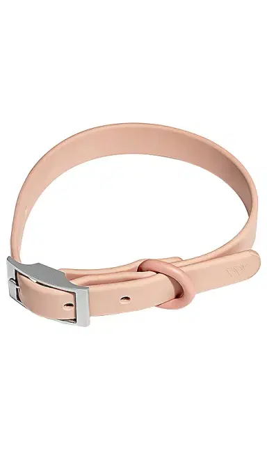 Wild One Collar | Thumbnail 1 Wild One Collar | Thumbnail 1