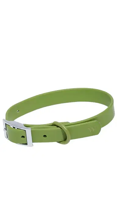Wild One Collar | Thumbnail 1 Wild One Collar | Thumbnail 1