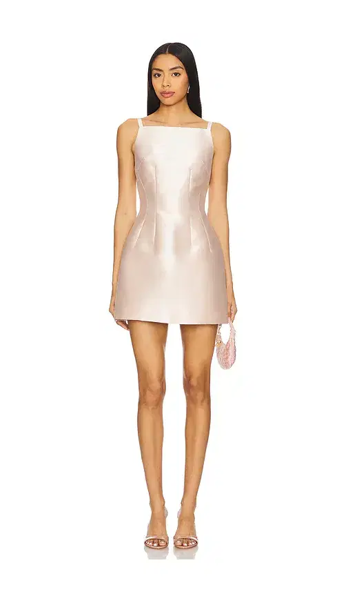 Blanche Dupion Mini Dress Blanche Dupion Mini Dress