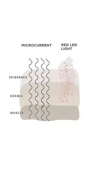 Solaris Laboratories NY Level Up Microcurrent + LED Massager | Thumbnail 2 Solaris Laboratories NY Level Up Microcurrent + LED Massager | Thumbnail 2