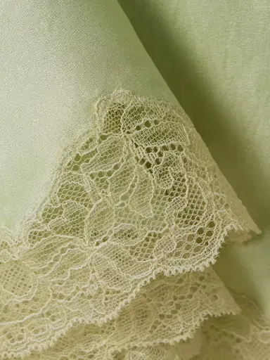 The Row Irene Lace-trimmed Silk-charmeuse Skirt | Thumbnail 5 The Row Irene Lace-trimmed Silk-charmeuse Skirt | Thumbnail 5