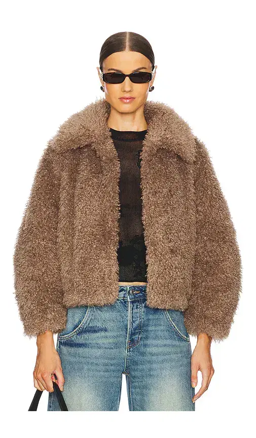 The Teddy Bomber The Teddy Bomber