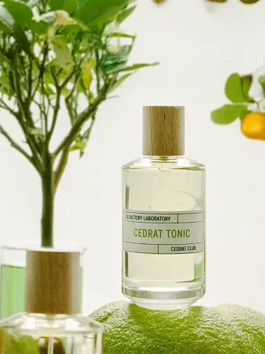 Liquides Imaginaires Cedrat Tonic Eau de Parfum 3.4 oz | Thumbnail 4 Liquides Imaginaires Cedrat Tonic Eau de Parfum 3.4 oz | Thumbnail 4