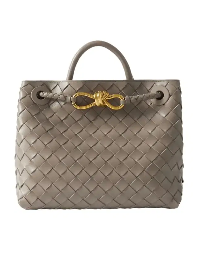 Bottega Veneta Andiamo Small Intrecciato Leather Tote