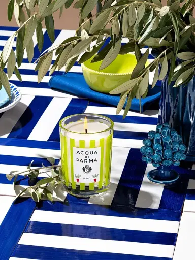 Acqua di Parma Ulivo Scented Candle | Thumbnail 3 Acqua di Parma Ulivo Scented Candle | Thumbnail 3
