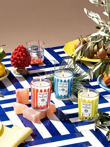 Acqua di Parma Ulivo Scented Candle | Thumbnail 4 Acqua di Parma Ulivo Scented Candle | Thumbnail 4