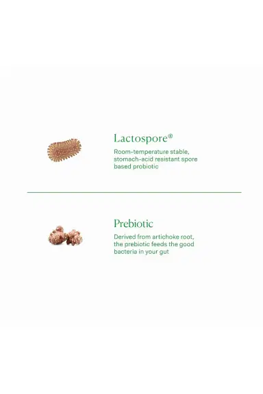 The Nue Co. Prebiotic + Probiotic | Thumbnail 4 The Nue Co. Prebiotic + Probiotic | Thumbnail 4