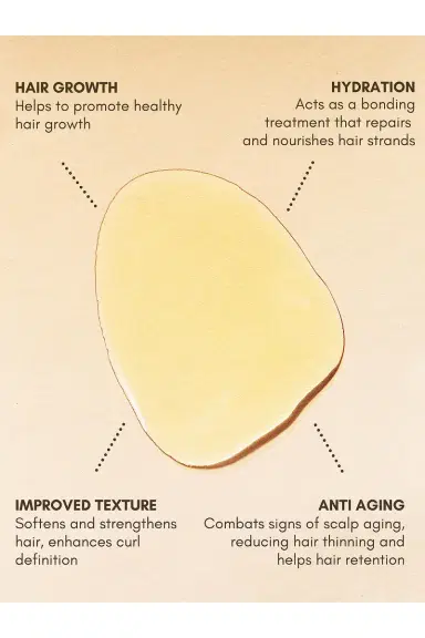 Bur Bur Growing Season Burdock Hair Growth And Repair Oil | Thumbnail 5 Bur Bur Growing Season Burdock Hair Growth And Repair Oil | Thumbnail 5