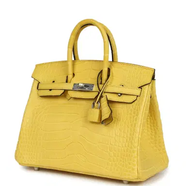 HERMÈS Hermes Birkin 25 Mimosa Matte Alligator Mississippiensis Palladium Hardware | Thumbnail 3 HERMÈS Hermes Birkin 25 Mimosa Matte Alligator Mississippiensis Palladium Hardware | Thumbnail 3