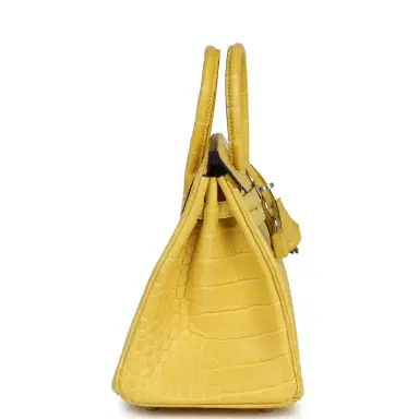 HERMÈS Hermes Birkin 25 Mimosa Matte Alligator Mississippiensis Palladium Hardware | Thumbnail 4 HERMÈS Hermes Birkin 25 Mimosa Matte Alligator Mississippiensis Palladium Hardware | Thumbnail 4
