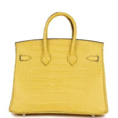 HERMÈS Hermes Birkin 25 Mimosa Matte Alligator Mississippiensis Palladium Hardware | Thumbnail 5 HERMÈS Hermes Birkin 25 Mimosa Matte Alligator Mississippiensis Palladium Hardware | Thumbnail 5