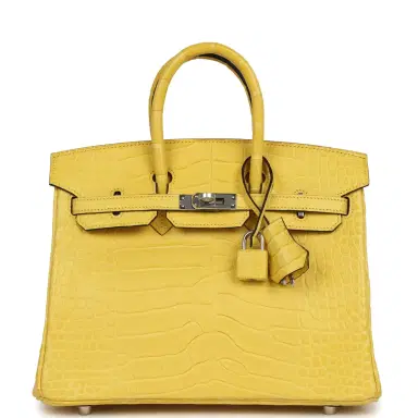 HERMÈS Hermes Birkin 25 Mimosa Matte Alligator Mississippiensis Palladium Hardware | Thumbnail 1 HERMÈS Hermes Birkin 25 Mimosa Matte Alligator Mississippiensis Palladium Hardware | Thumbnail 1