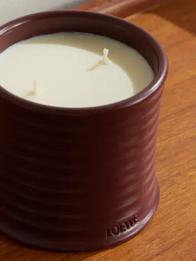 LOEWE PERFUMES Beetroot Scented Candle, 610g - Men | Thumbnail 4 LOEWE PERFUMES Beetroot Scented Candle, 610g - Men | Thumbnail 4