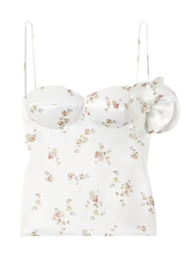 Magda Butrym Appliquéd Floral-print Silk Bustier Top
