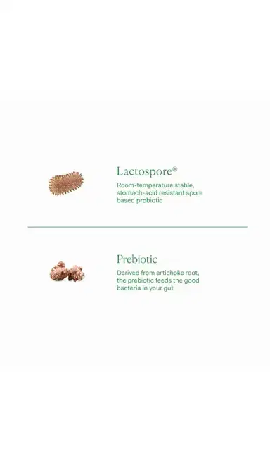 The Nue Co. Prebiotic + Probiotic | Thumbnail 4 The Nue Co. Prebiotic + Probiotic | Thumbnail 4