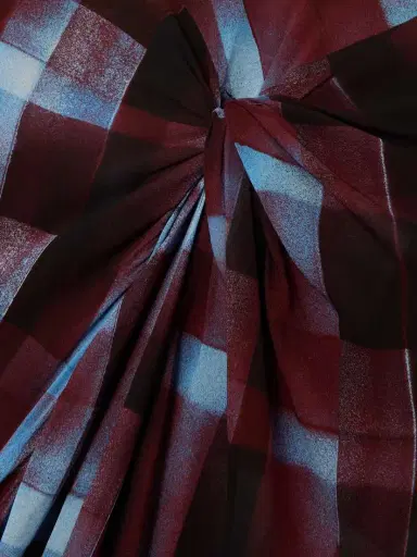 Dries Van Noten Gathered Checked Chiffon Maxi Skirt | Thumbnail 6 Dries Van Noten Gathered Checked Chiffon Maxi Skirt | Thumbnail 6