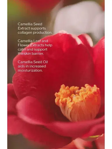 Shiseido Women's Ultimune Power Infusing Serum 2.5 oz | Thumbnail 8 Shiseido Women's Ultimune Power Infusing Serum 2.5 oz | Thumbnail 8