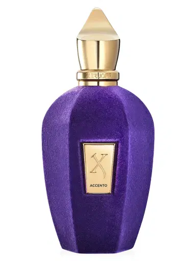Xerjoff Women's Accento Eau de Parfum | Thumbnail 1 Xerjoff Women's Accento Eau de Parfum | Thumbnail 1