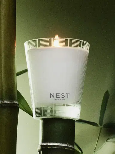 NEST New York Bamboo Scented Candle | Thumbnail 5 NEST New York Bamboo Scented Candle | Thumbnail 5