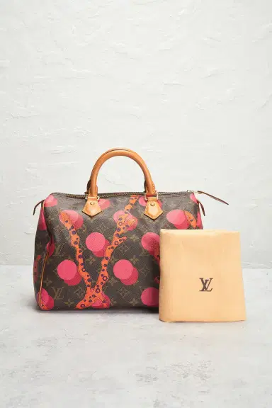 Louis Vuitton Limited Edition Grenade Ramages Speedy 30 Handbag | Thumbnail 12 Louis Vuitton Limited Edition Grenade Ramages Speedy 30 Handbag | Thumbnail 12