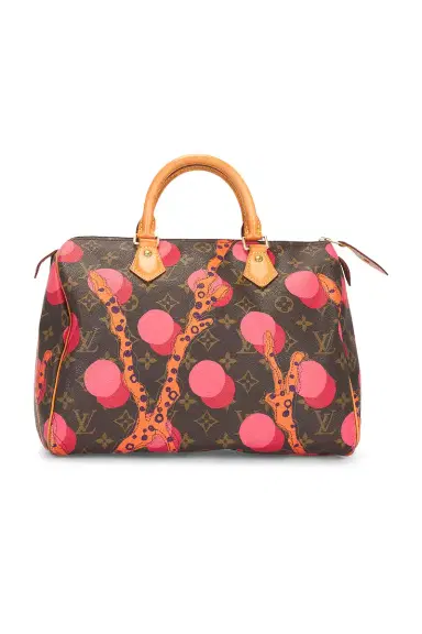 Louis Vuitton Limited Edition Grenade Ramages Speedy 30 Handbag | Thumbnail 3 Louis Vuitton Limited Edition Grenade Ramages Speedy 30 Handbag | Thumbnail 3