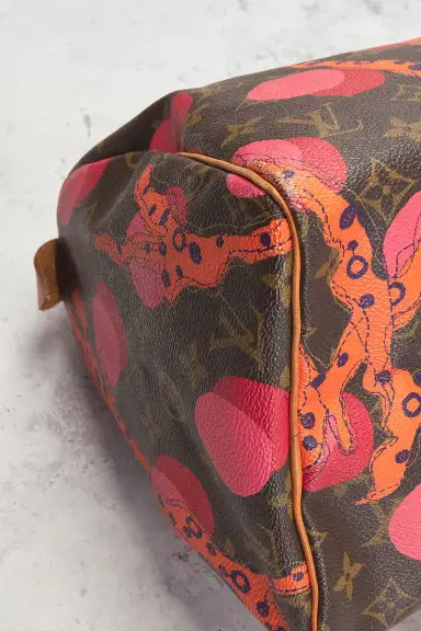 Louis Vuitton Limited Edition Grenade Ramages Speedy 30 Handbag | Thumbnail 10 Louis Vuitton Limited Edition Grenade Ramages Speedy 30 Handbag | Thumbnail 10