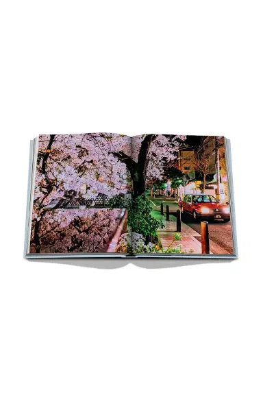 Assouline Kyoto Serenity | Thumbnail 10 Assouline Kyoto Serenity | Thumbnail 10
