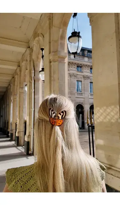 Solar Eclipse Hand-painted Tiger Moth Claw Hair Clip | Thumbnail 2 Solar Eclipse Hand-painted Tiger Moth Claw Hair Clip | Thumbnail 2
