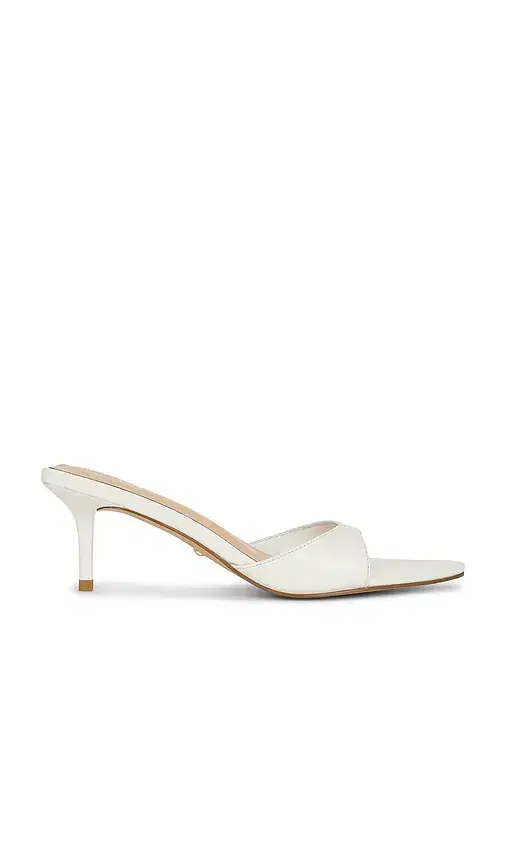 Chad Sandal Chad Sandal