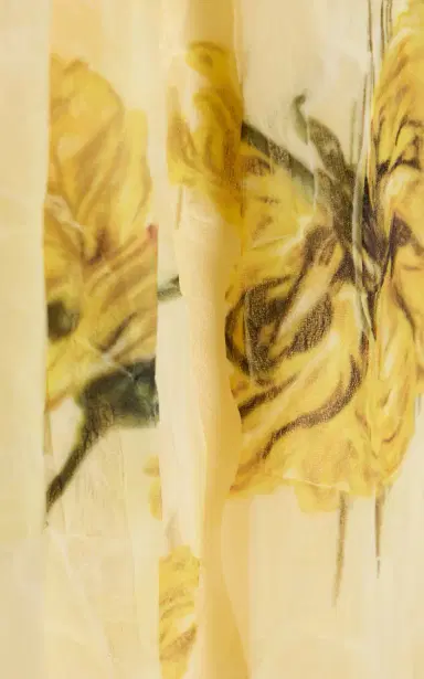 Emilia Wickstead Desiderio Printed Chiffon Gown | Thumbnail 5 Emilia Wickstead Desiderio Printed Chiffon Gown | Thumbnail 5